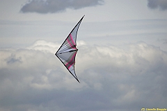 Venice kite festival_0182